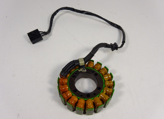 Dynamo Kawasaki Z 800 2013-2014