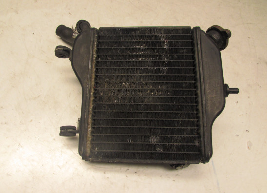 Radiateur Yamaha TZR 250