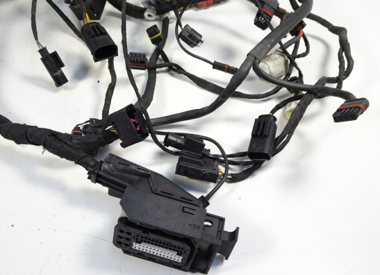 Kabelboom BMW K 1200 S 