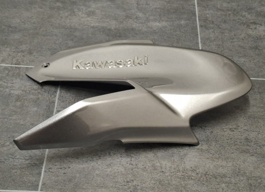 Linker zijkuip klein Kawasaki Z 900