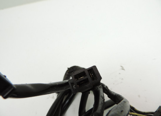 Dynamo Kawasaki ZZR 250