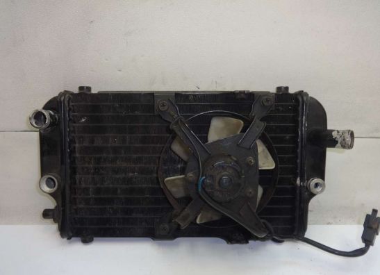 Radiateur Kawasaki EL 250