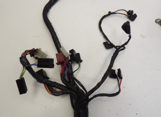 Wire Harness Kawasaki VN 800