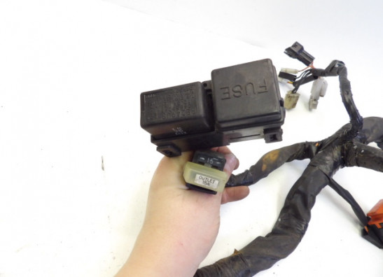 Kabelboom Suzuki Burgman 650