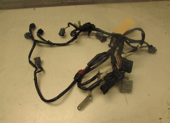 Kabelbaum Honda CB 600 F