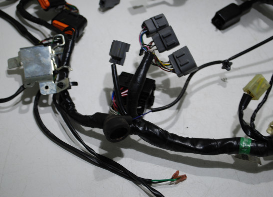 Wire Harness Kawasaki Ninja 300