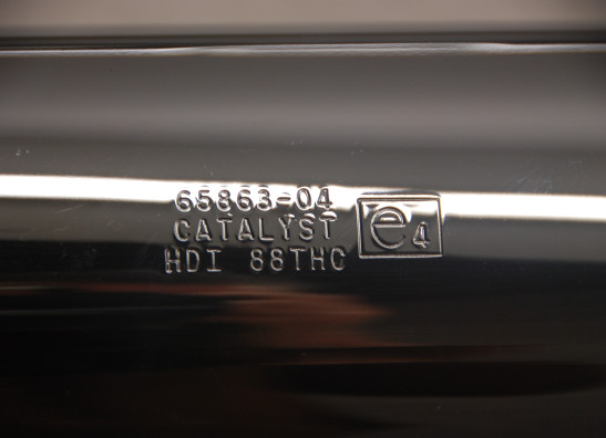 Auspuff Harley Davidson Touring FL