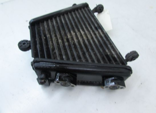 Oil cooler Suzuki GSX R 1000