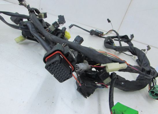 Wire Harness Suzuki Burgman 400