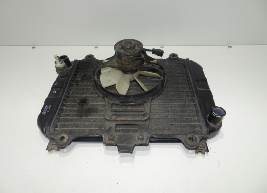 Radiator Kawasaki KLE 500