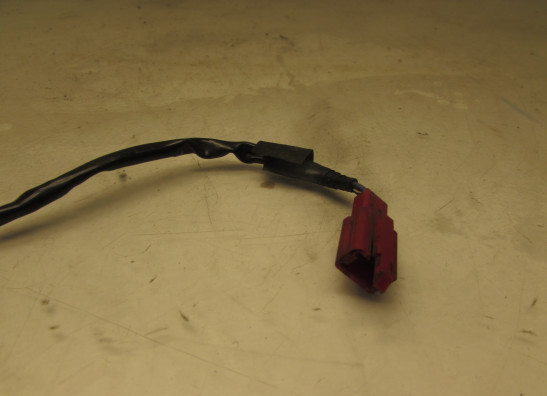 Wire harness front Honda CBR 600 F