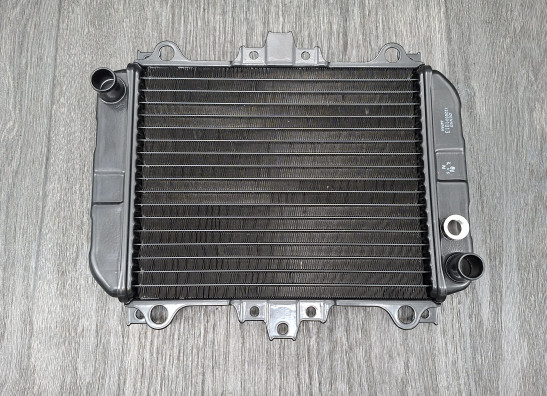 Kuhler Kawasaki KLE 500