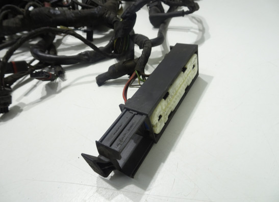 Kabelbaum BMW R 1200 RT