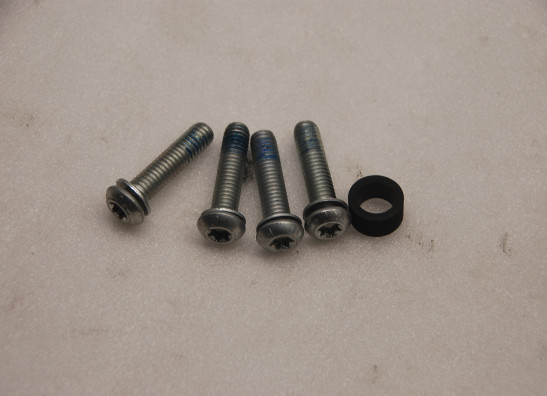 Fussrastenanlage Harley Davidson Softtail