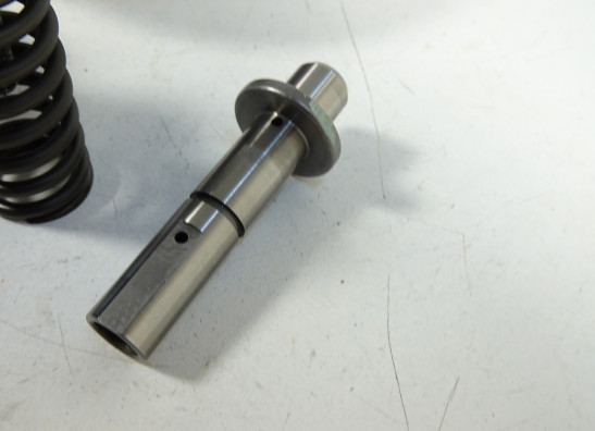 Kupplung Aprilia Dorsoduro 750