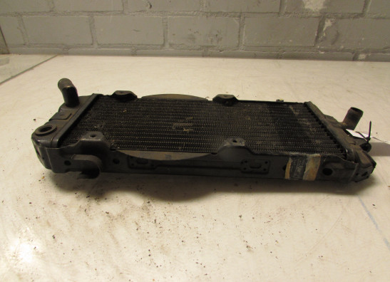 Kuhler Honda VT 700 750