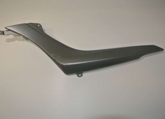 Linker achterkant BMW R 1200 R