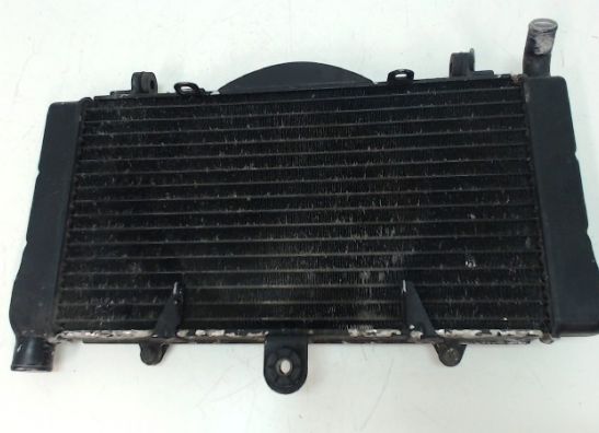 Kuhler Honda CBR 1000 F 1987-1988