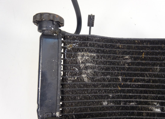 Radiator Ducati 749  999