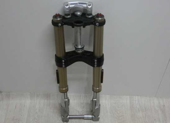 Voorpoten compleet Triumph Speed triple RS