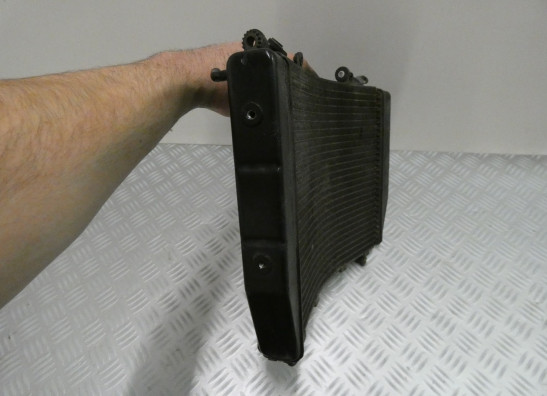 Radiator MV Agusta 750 Brutale