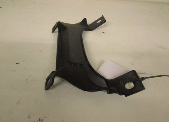 Sonstiges Aprilia Tuono 1000