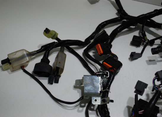 Wire Harness Kawasaki Ninja 300