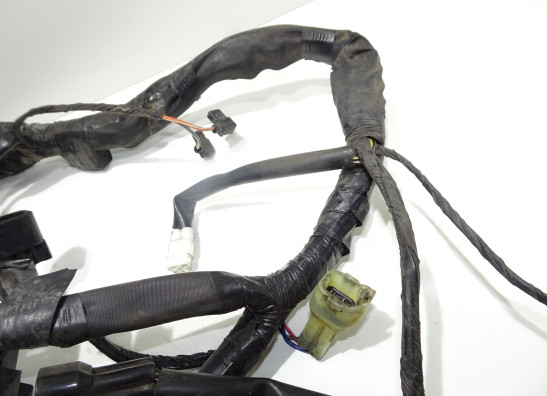 Wire Harness Suzuki DL 650 V STROM