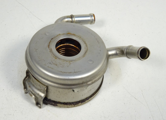 Engine parts Triumph Street Triple 675