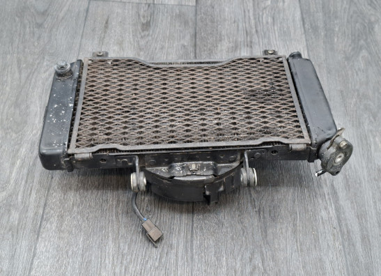 Radiateur Yamaha TDM