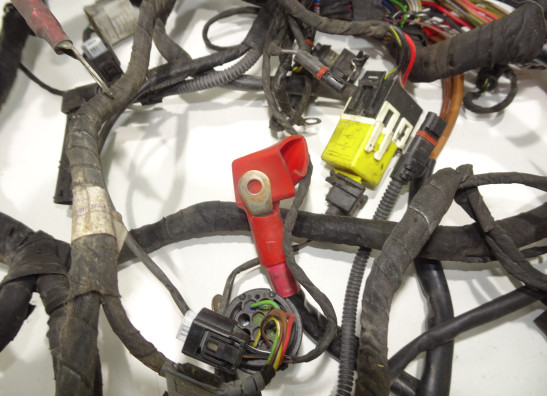 Kabelbaum BMW R 1200 GS