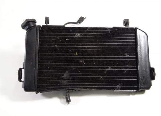 Radiator Suzuki SV 650