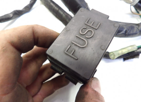 Wire Harness Honda CB 1000 F