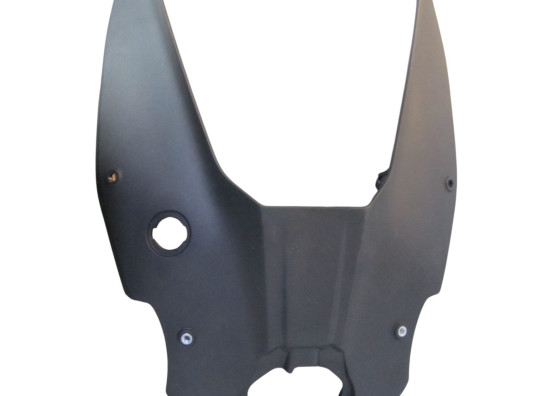 Achterspatbord Ducati Panigale V4 R