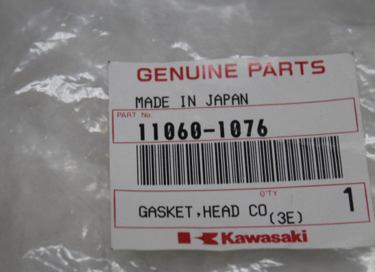 Pakking Kawasaki ZXR 750