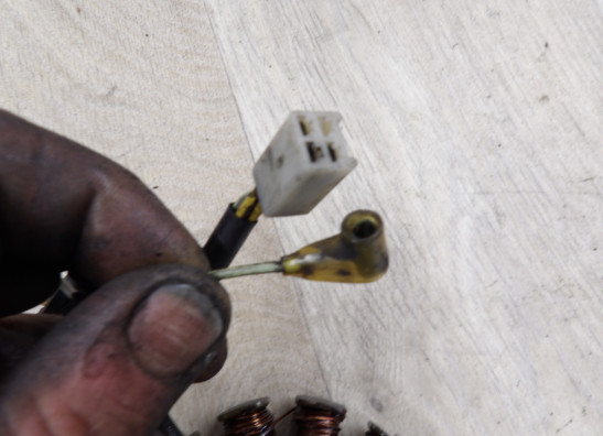 Dynamo Kawasaki LTD 250