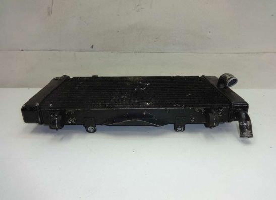 Radiator Honda CBR 1000 F