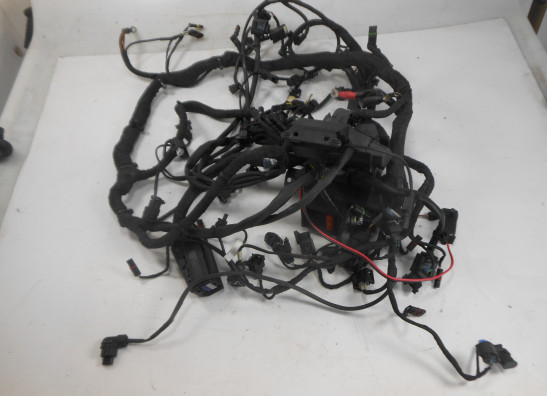 Kabelboom BMW S 1000 R 2014-2016