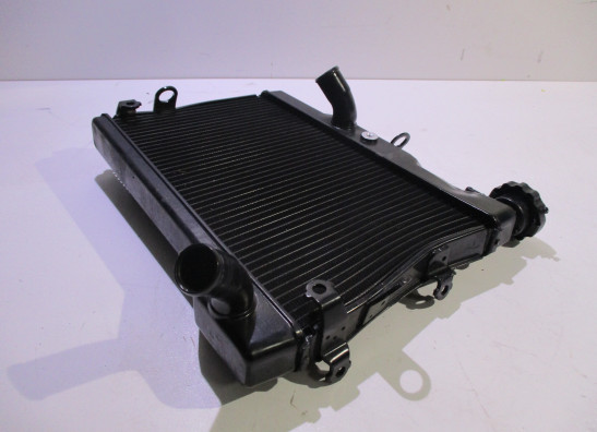 Radiateur Yamaha XSR 700