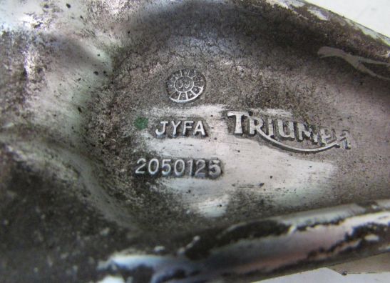 Hinterradschwinge Triumph Sprint ST 1050