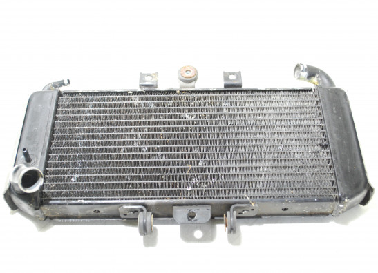 Kuhler Yamaha FAZER 600