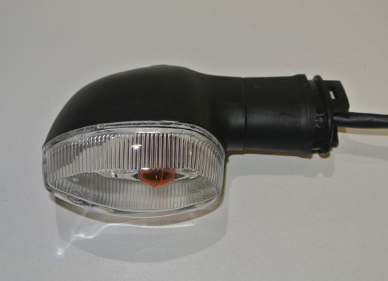 Blinker Kawasaki Ninja 650