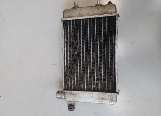 Kuhler Aprilia RSV 1000