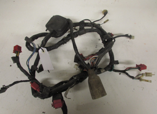 Kabelbaum Honda CBR 600 F