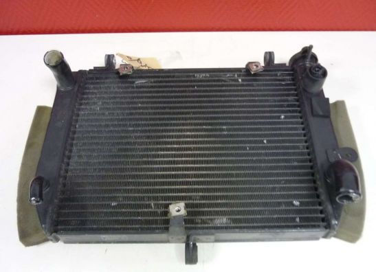 Radiateur Yamaha YZF R6