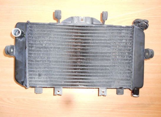 Radiator Yamaha TDM