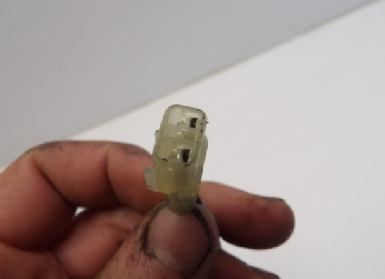 Cilinderblok Ducati Scrambler Desert Sled