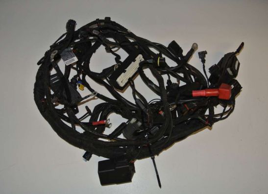 Kabelboom BMW R 1200 R 2011