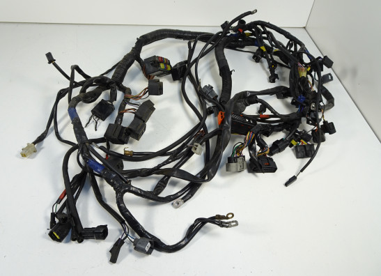 Wire Harness Triumph Sprint ST 1050