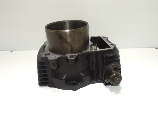 Cylinders Kawasaki VN 1500